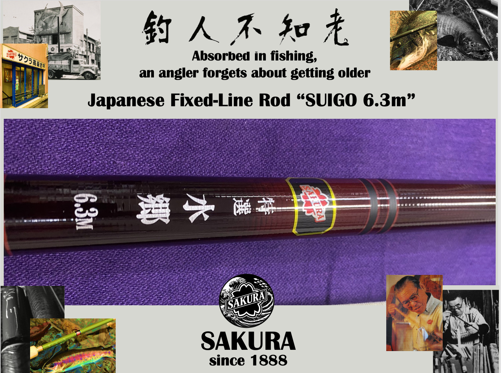 JDM Fixed-Line Rod All Freshwater Fish Carp 20’7″ Carbon Fiber SAKURA Japan pole