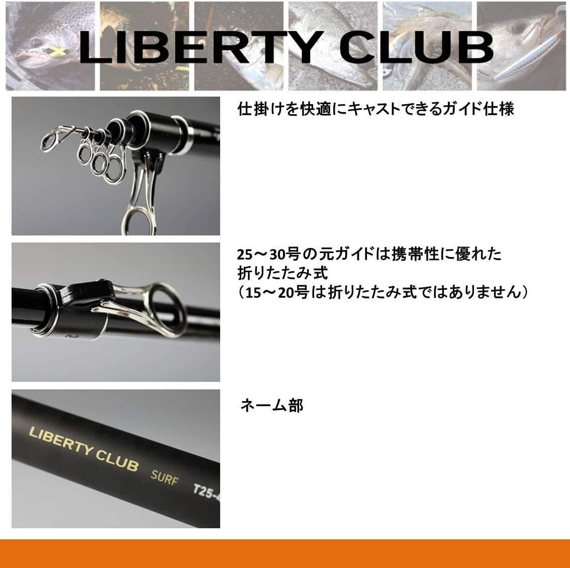 DAIWA Throwing rod / swing LBTC Liberty Club SURF 25-420