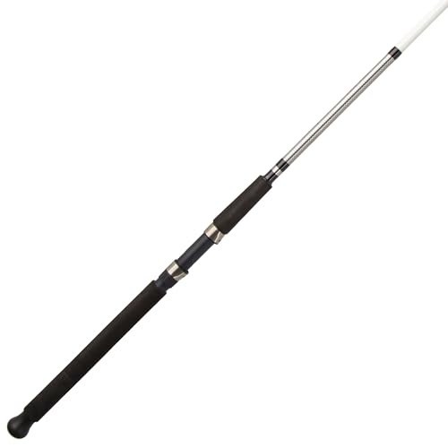 Bigwater Spinning Fishing Reel – Lightweight, Smooth Drag, Durable Design