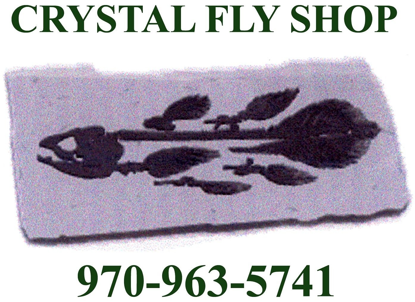 ECHO GECKO TROUT 7’9″ #5 WEIGHT YOUTH 4 PIECE KIDS FLY ROD – FREE US SHIP