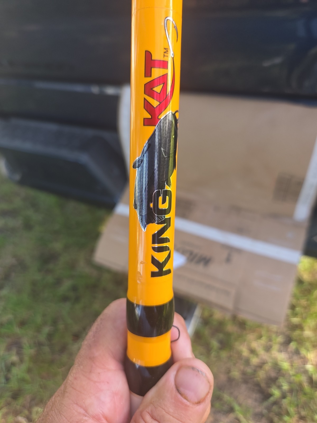 bass pro shop king cat spinng rod