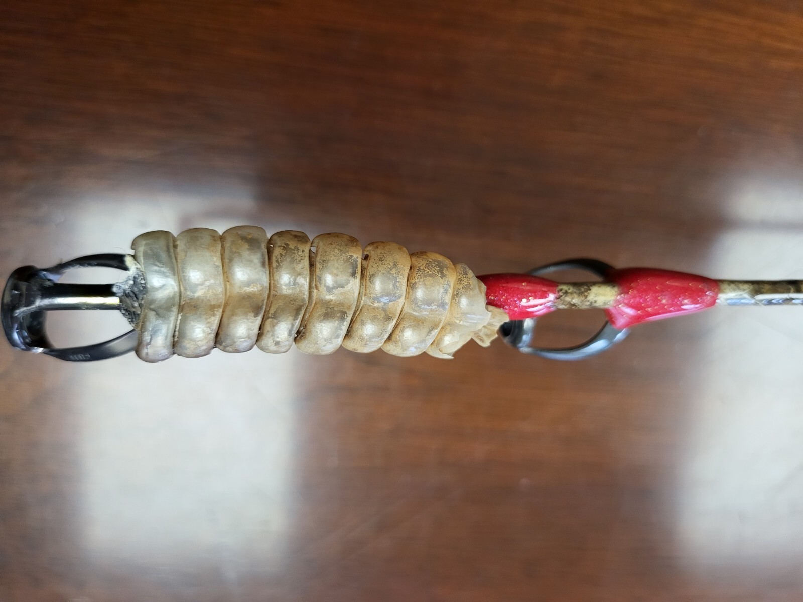 Custom Rattlesnake Fishing Rod Real Rattlesnake Skin Grips with or without Fangs