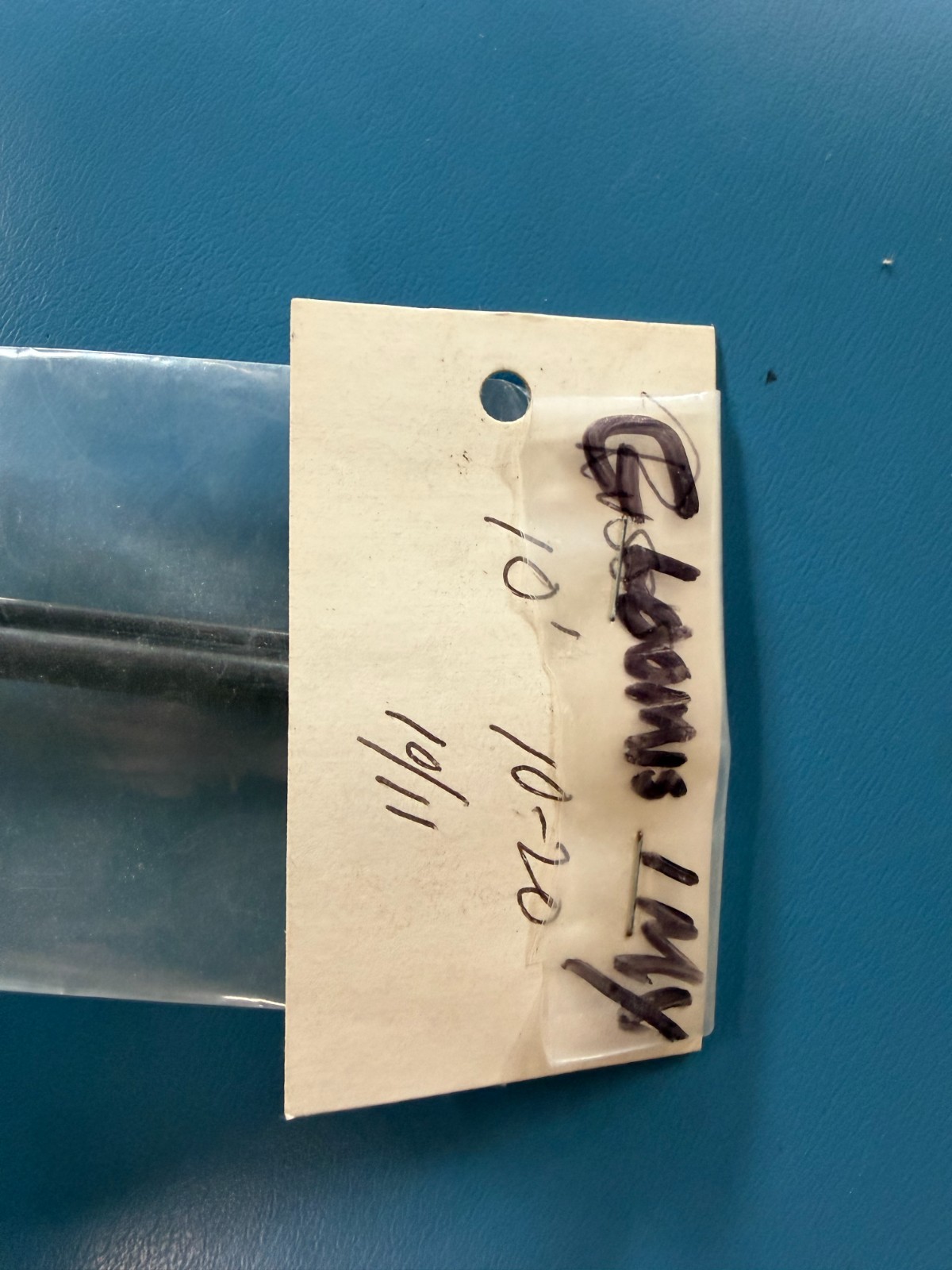 G-Loomis IMX Vintage 10’ 10-20lb 2 Piece Rod Blank Fishing Steelhead Salmon