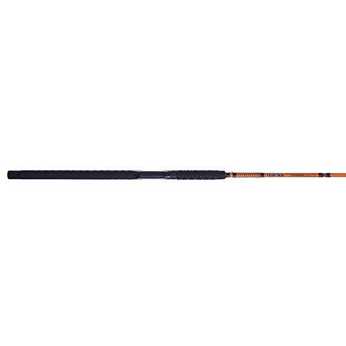Catfish Special Casting Fishing Rod