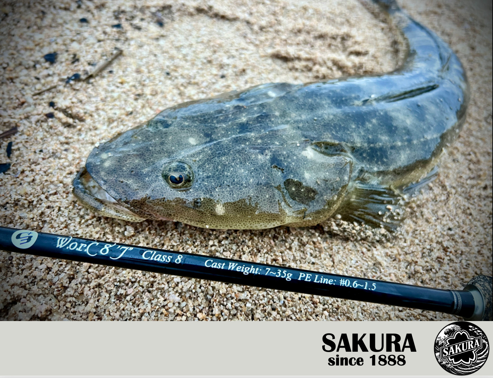 JDM Spinning Rod Metal Jig Casting All Saltwater Fish 9ft Carbon SAKURA Japan
