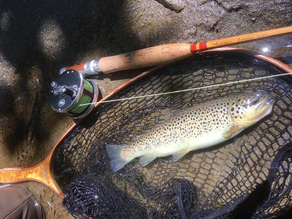 Fly Rod bamboo reproduction Dickerson 761510 7’6” linea 4#5 .(2TIP)