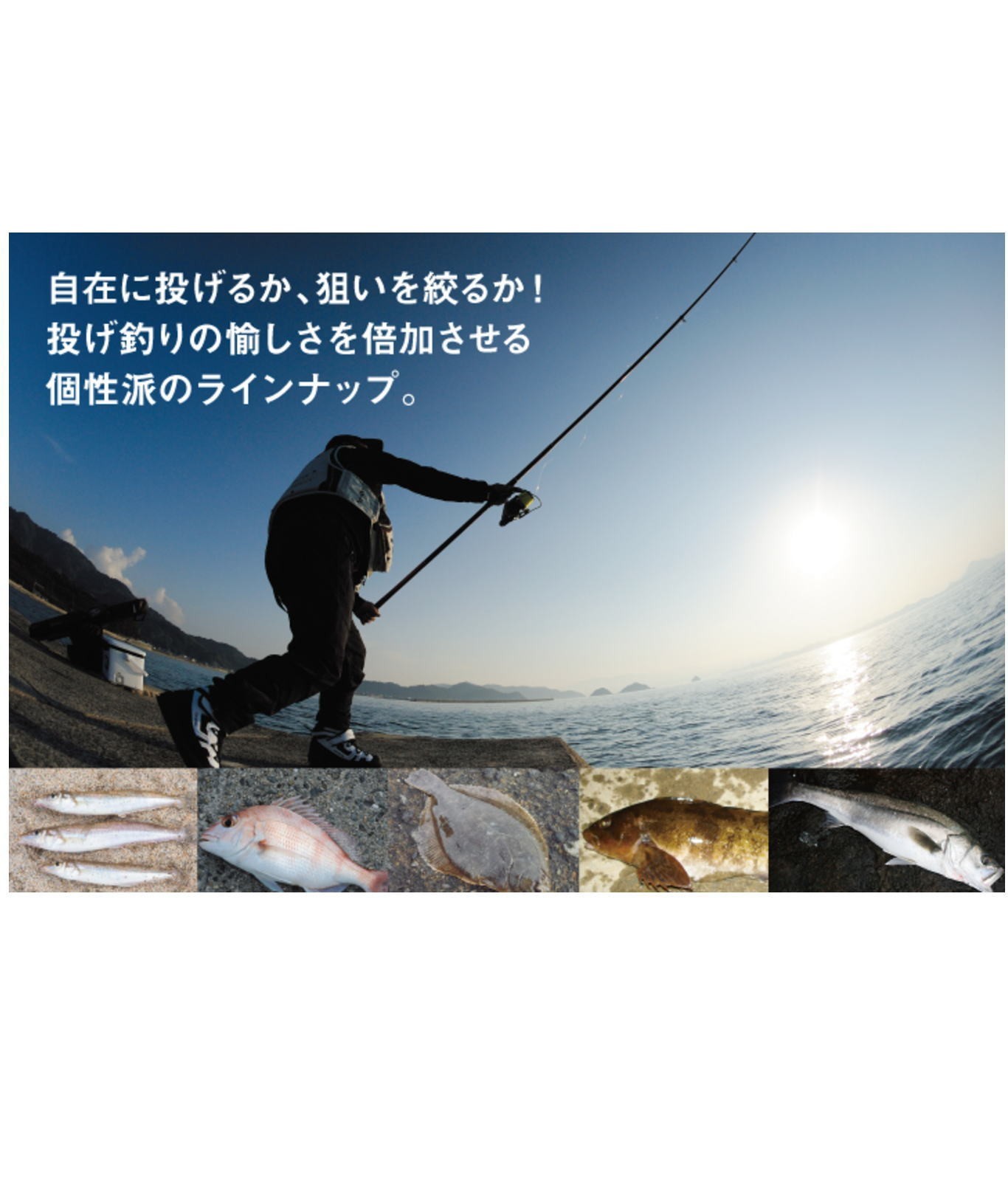 Daiwa Throwing Rod Spinning Prime Surf T30-450/W Fishing Rod New