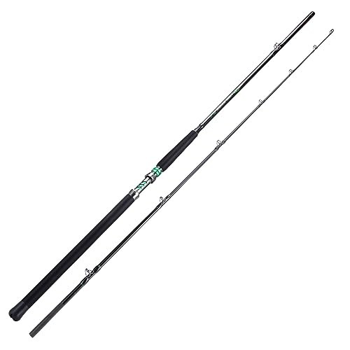 Spinning & Casting Catfish Rod – 2 Piece Medium Heavy Portable Travel Catfish