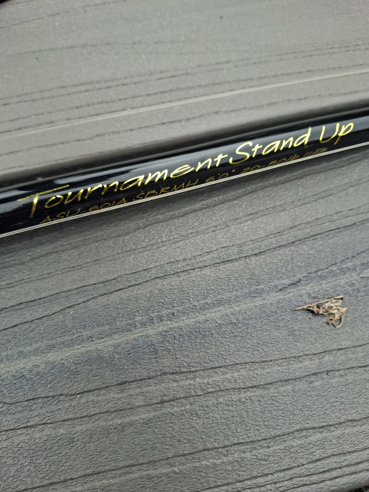 ANDE STAND UP 6′ 20 TO 50lb RATED FISHING ROD W/INTERNATIONAL PENN 30 REEL