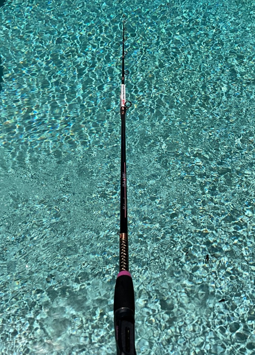SHAKESPEARE UGLY STIK LADY 1100 66 M 10-17 lb Casting 6’6” Fishing Rod new