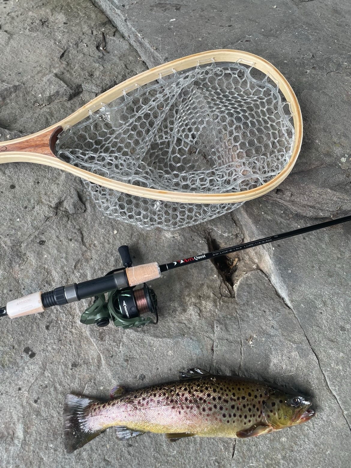 Spinning Rods