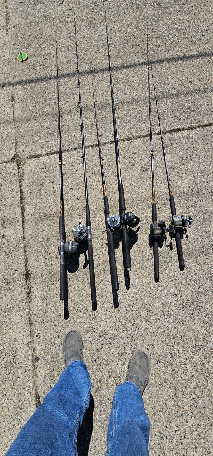Down rigger Fishing Rods And Reels 4 Ugly Sticks 1 DAIWA Rod 1Browning Rod