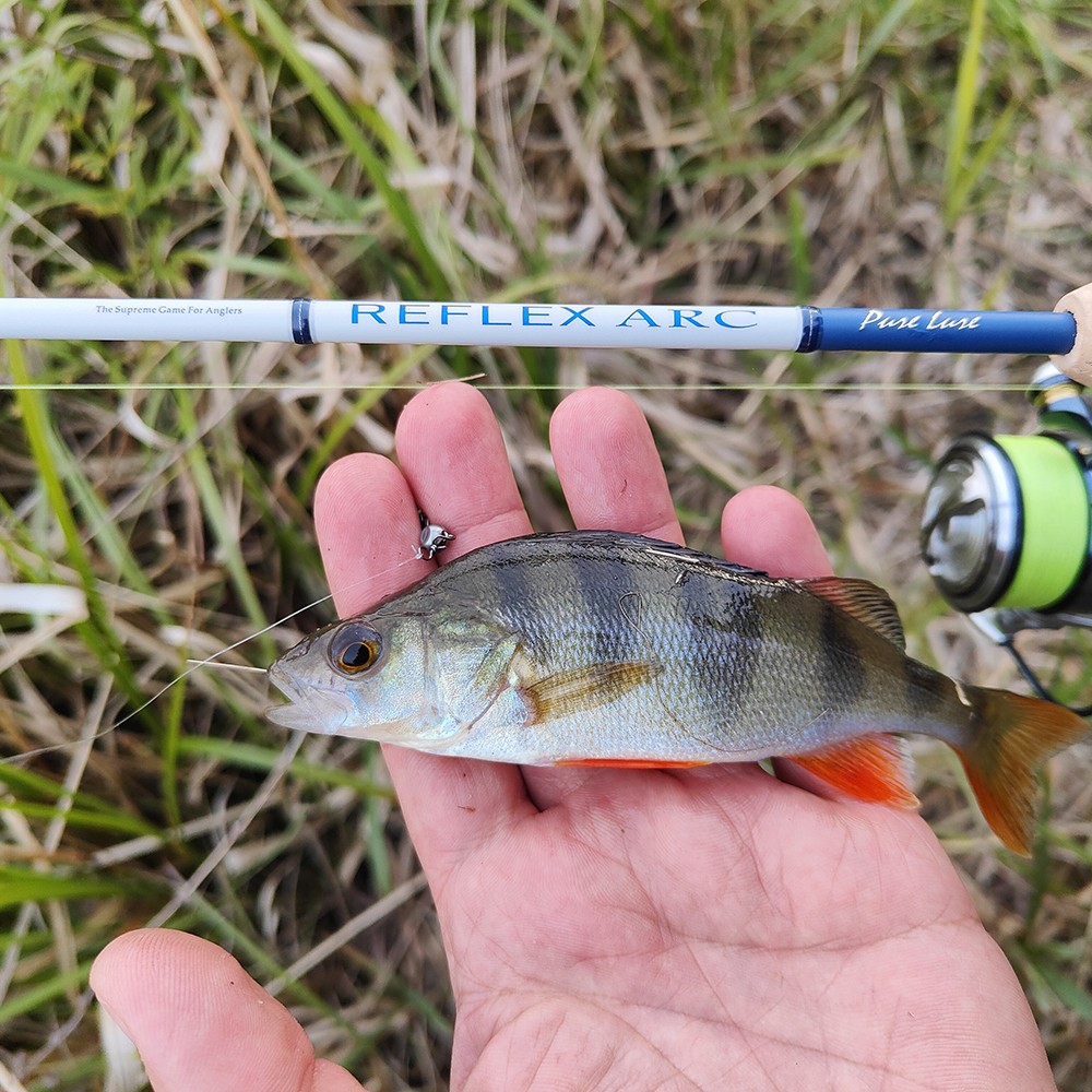 PURELURE REFLEX ARC BFS Rod Flick Casting Stream Small Bait Finesse Lightweight