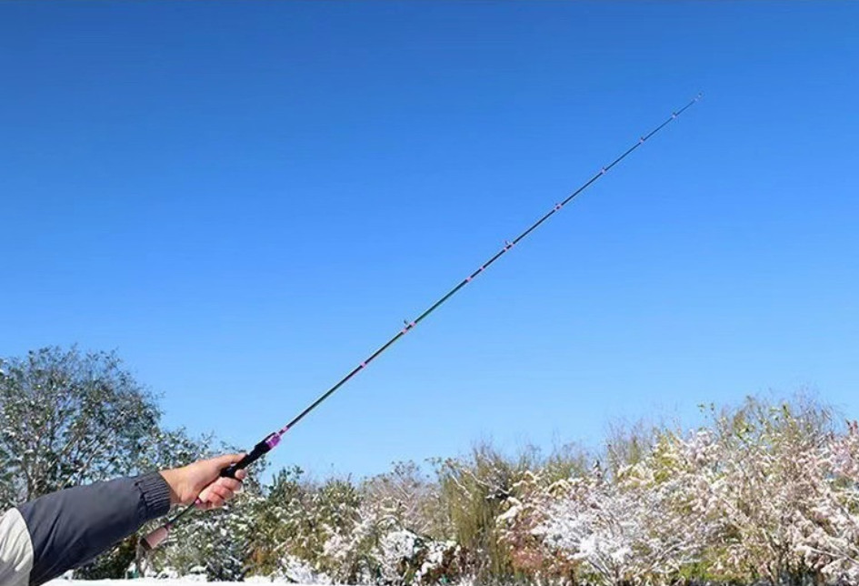 Trout Fishing Rods 1.68M 1.8M Carbon Rod Spinning Casting Rod Sea Fishing Poles