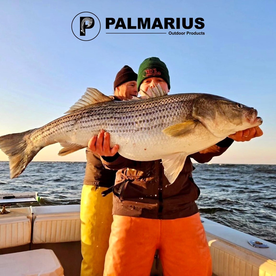 Palmarius P 66-3 200g to 400g ● 7 oz to 12 oz ● EVA ● SiC Torzite ● Acid Wrap