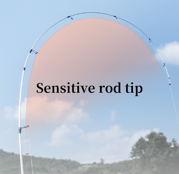 Spinning Fishing Rod Lightweight Lure Rod Bass/Trout/Pike High Sensitivity Pole