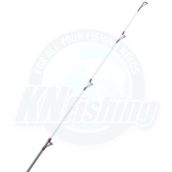 AKAMI TABIRA SPECIAL Surfcasting Fishing Rod 4.20m 100-250gr