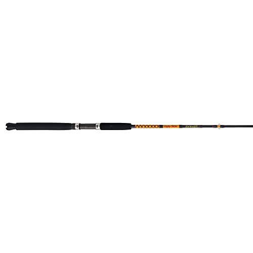 Bigwater Casting Fishing Rod – Fishing Rod for Bigwater