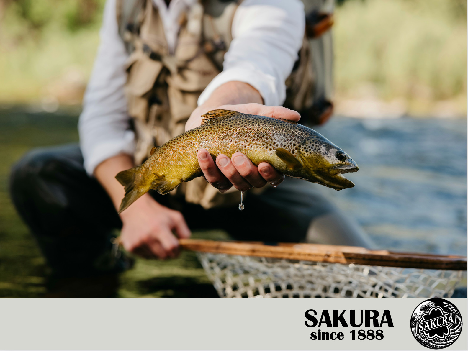 Japanese Fixed-Line Rod All Freshwater Fish Carp 17’7″ Carbon Fiber JDM SAKURA