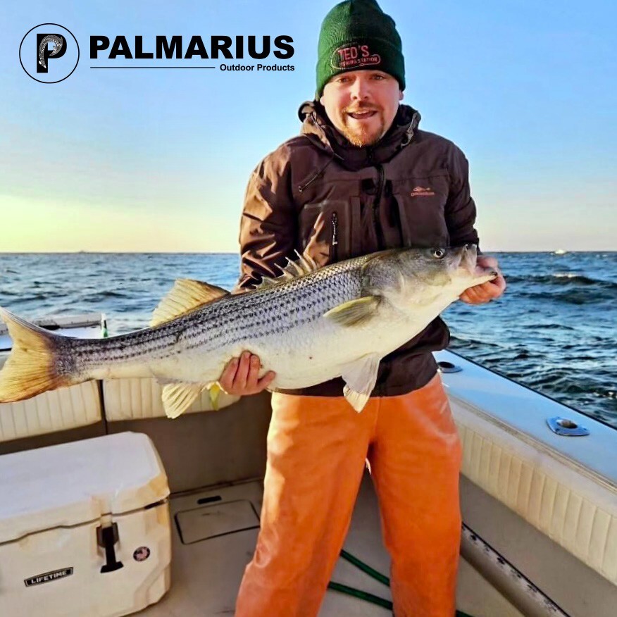 Palmarius P 66-3 200g to 400g ● 7 oz to 12 oz ● EVA ● SiC Torzite ● Acid Wrap