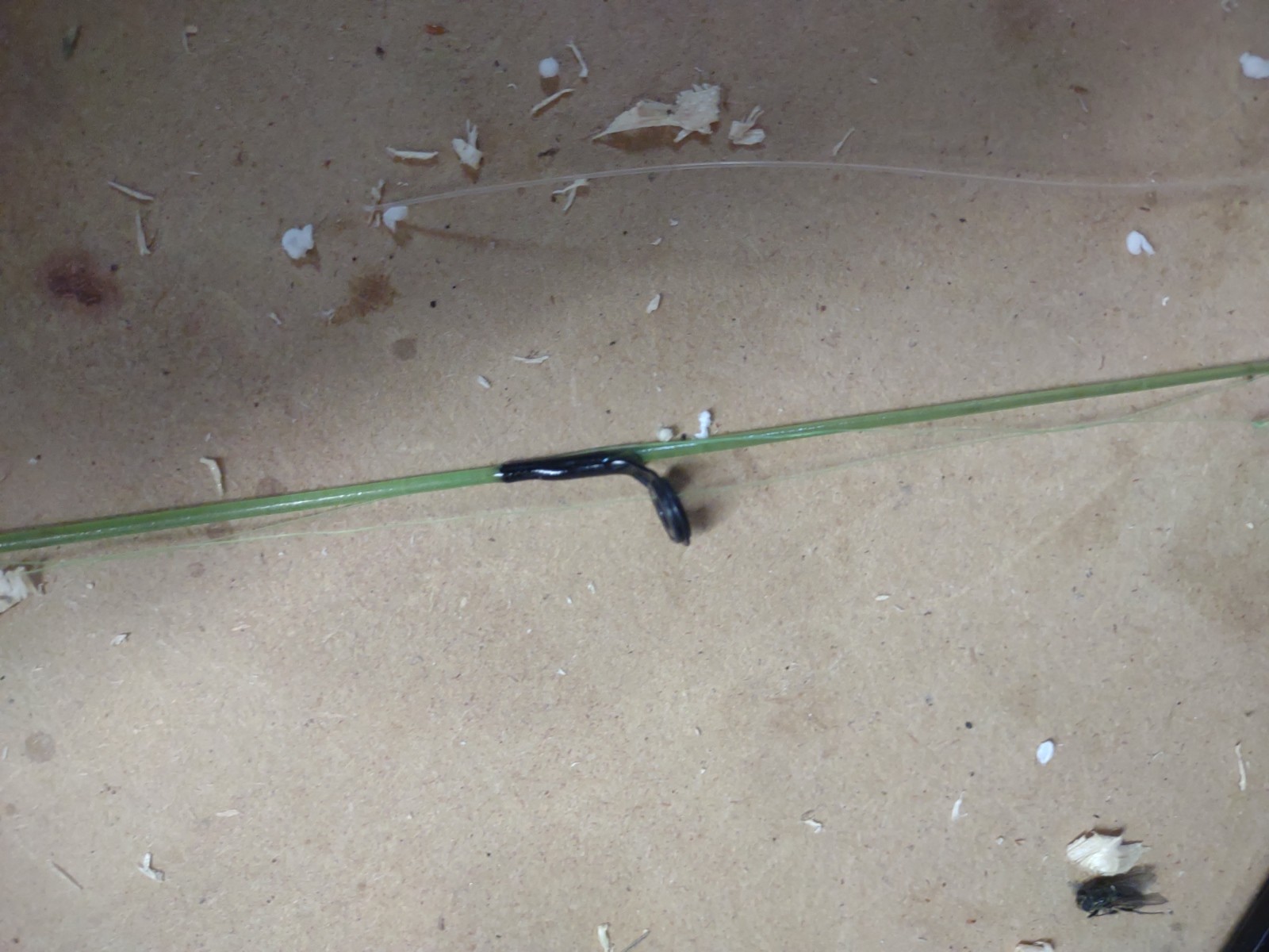 Shakespeare Pitchin Stick 30″ With Reel Action: Ultra Light 2091