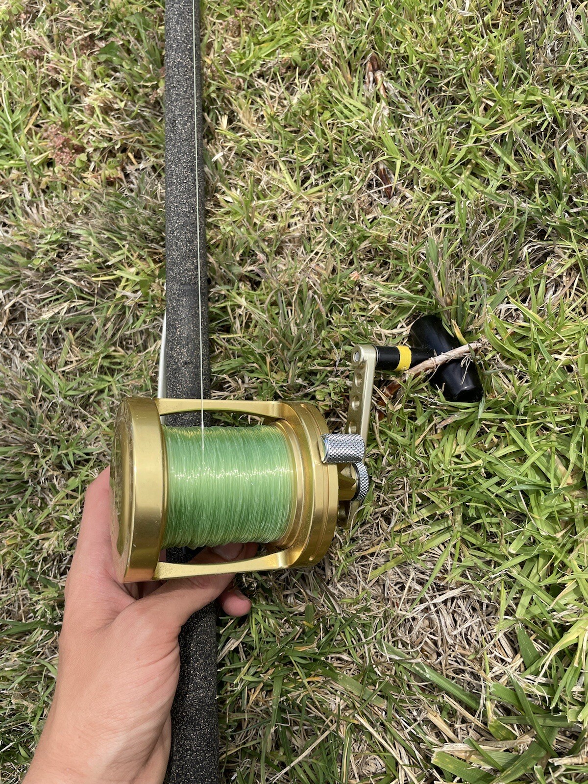 Avet 4.1 Fishing Reel With Seeker A 270H-8’ Rod