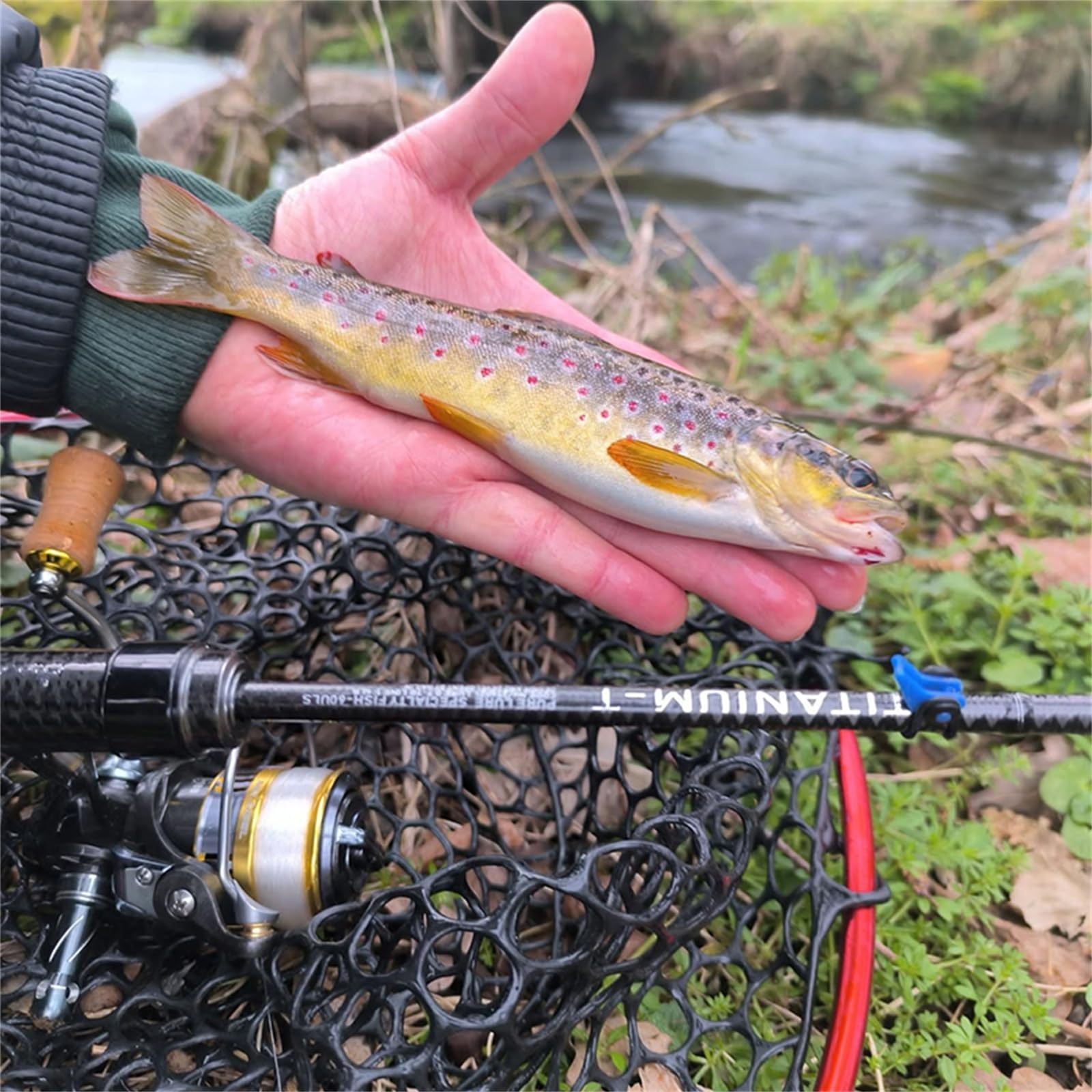 Pure Lure Titanium-T Extra Fishing Rods 56 Carbon Fiber Trout Rod
