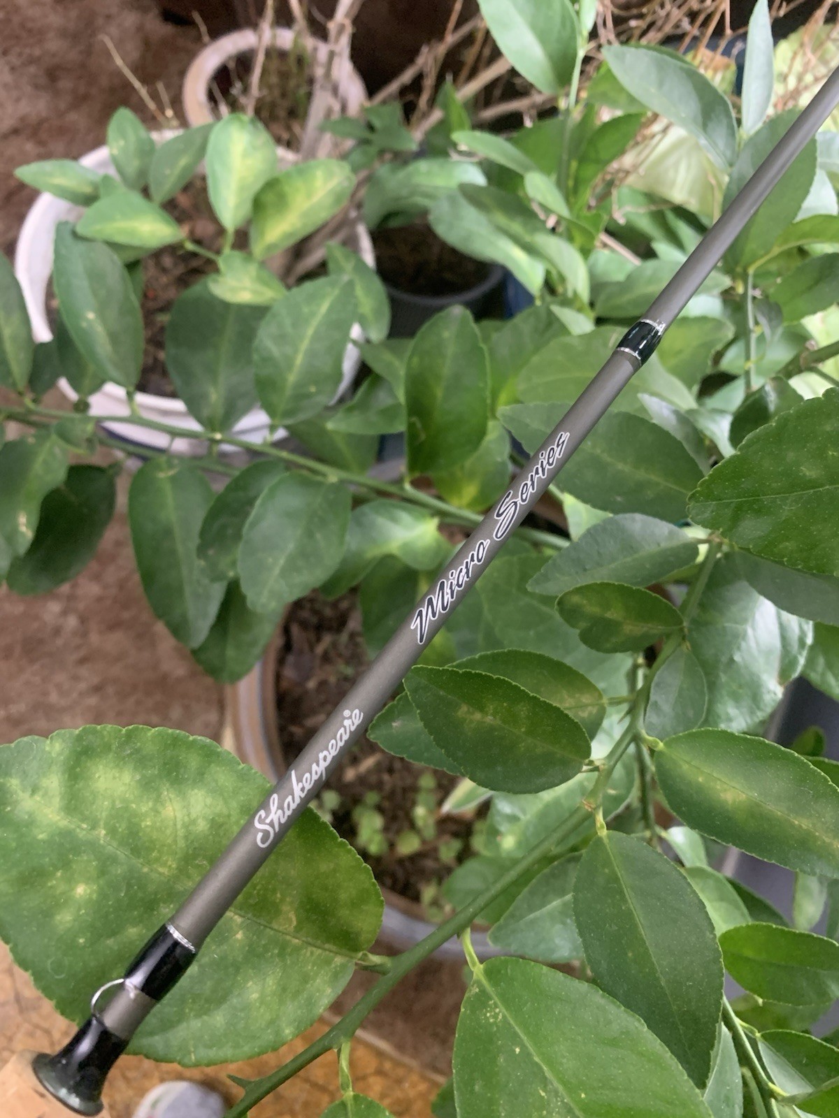 Shakespeare Micro Graphite MS 56 2 LD Light 5’6″ Spinning Rod Freshwater Fishing