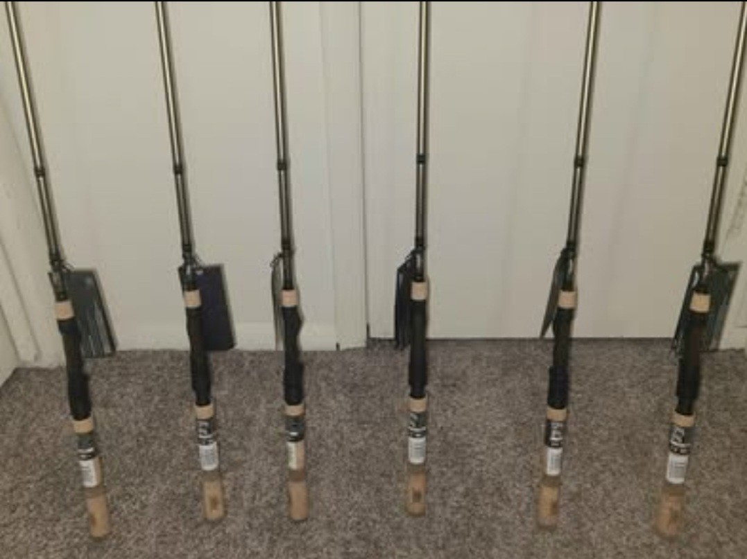 fenwick hmg spinning rod