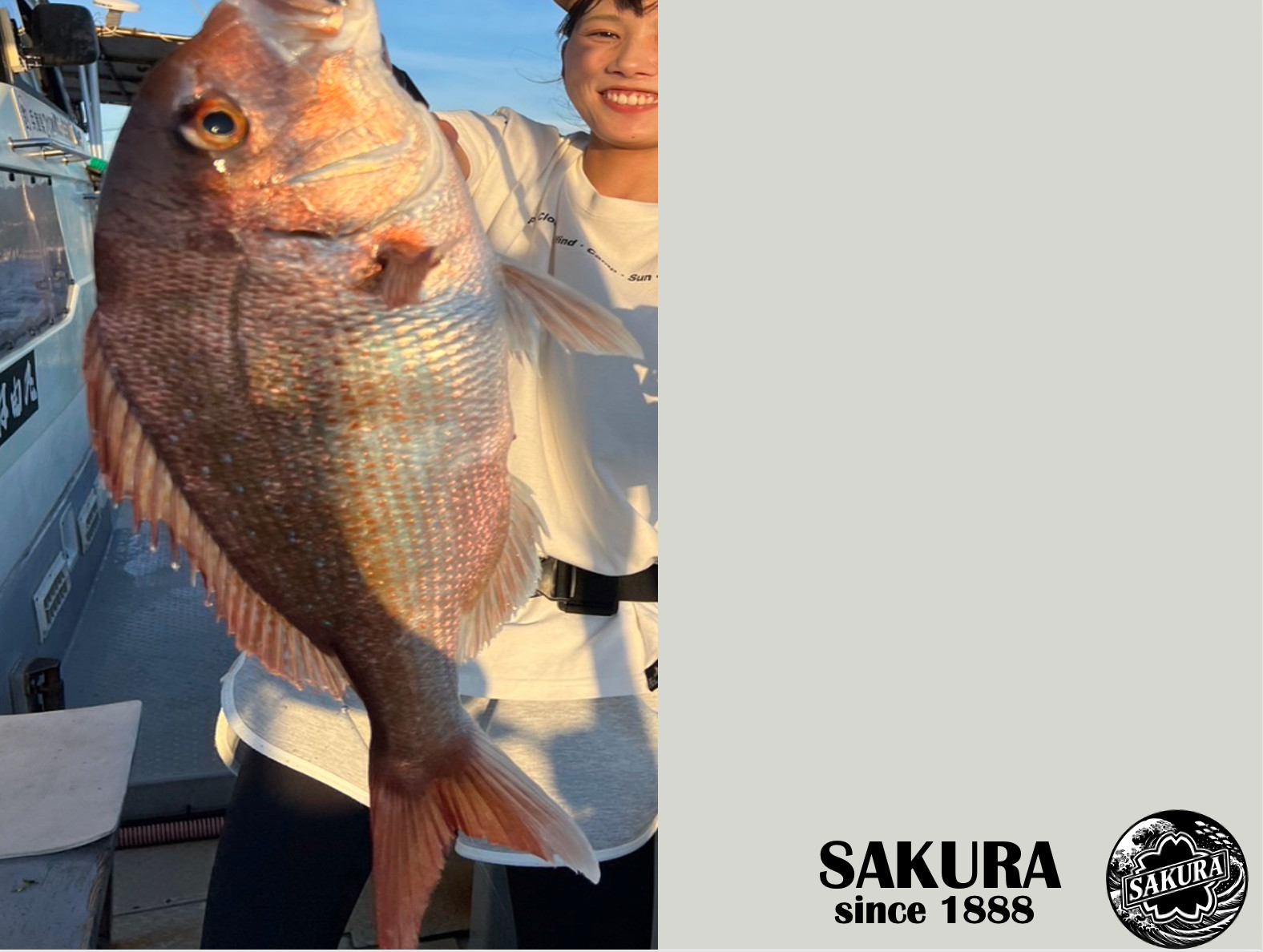 Japanese Jig Rod Light Game All Saltwater Fish 5’9″ Carbon JDM SAKURA Travel Rod