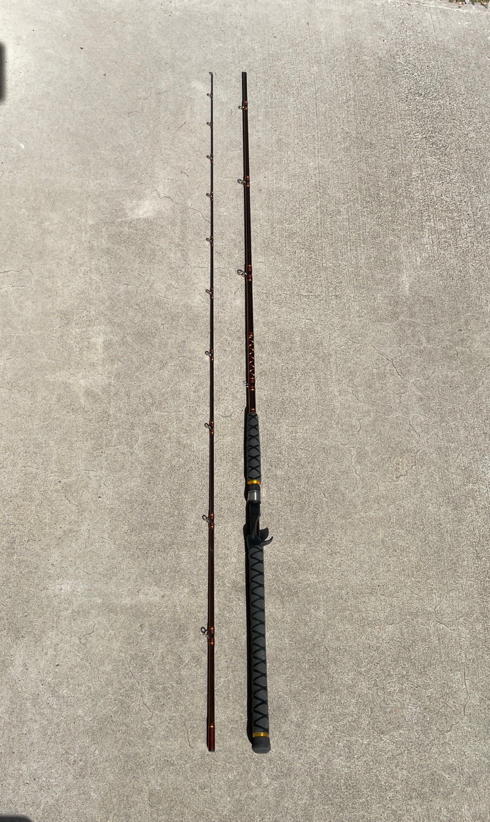 Berkley Buzz Ramsey Air Rod Complex Matrix 10’6” Herring Heavy 2-pc Casting Rod