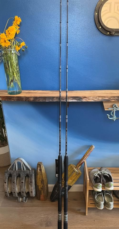Shimano Trevala Rod NWT. TVC66MHB 6’6” 30-65 lb medium heavy moderate fast.