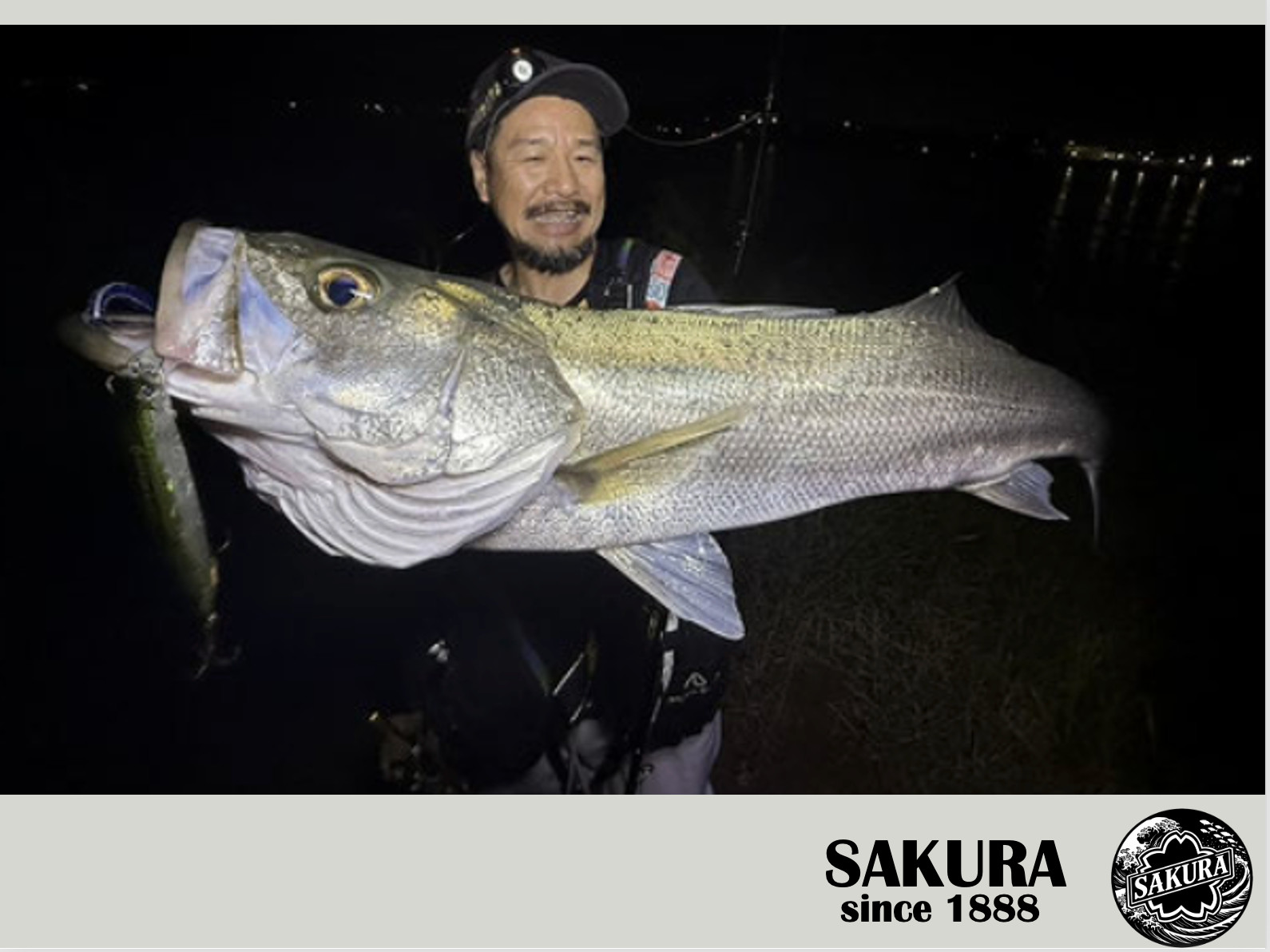 Japanese Spinning Rod Metal Jig Casting All Saltwater Fish 10′ Carbon JDM SAKURA
