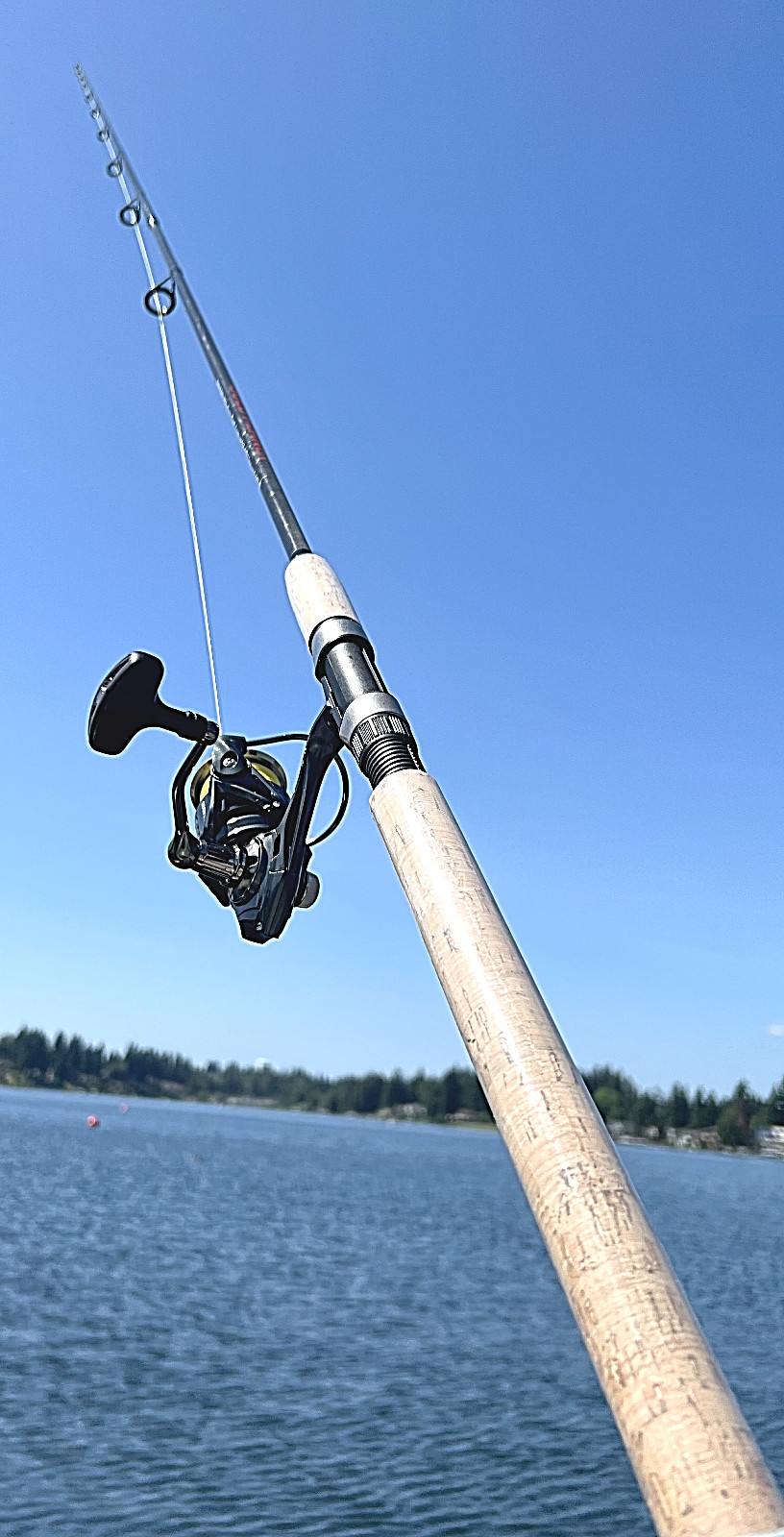 Fishing Pole Spinning Casting Rod Carbon Fiber Portable Medium Fast Lightweight