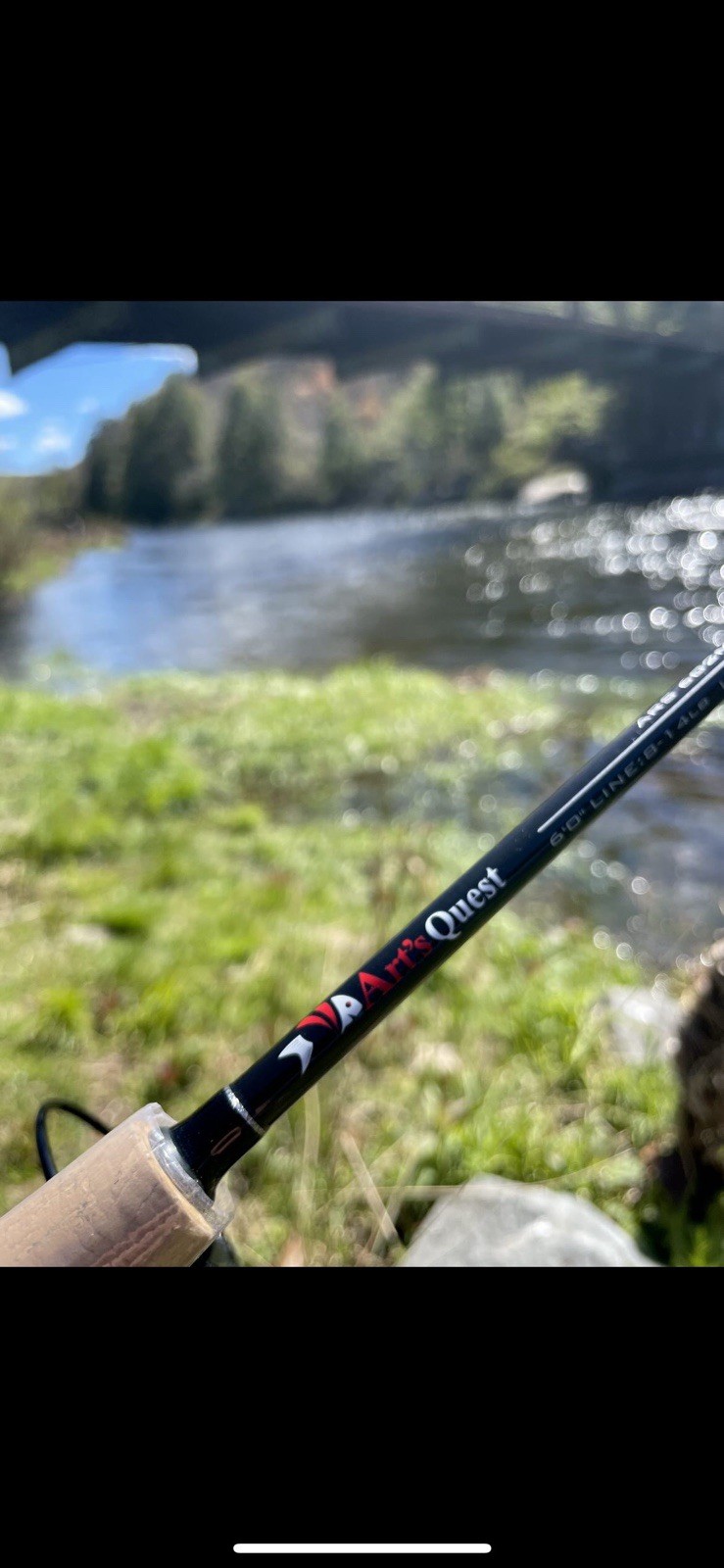 Spinning Rods