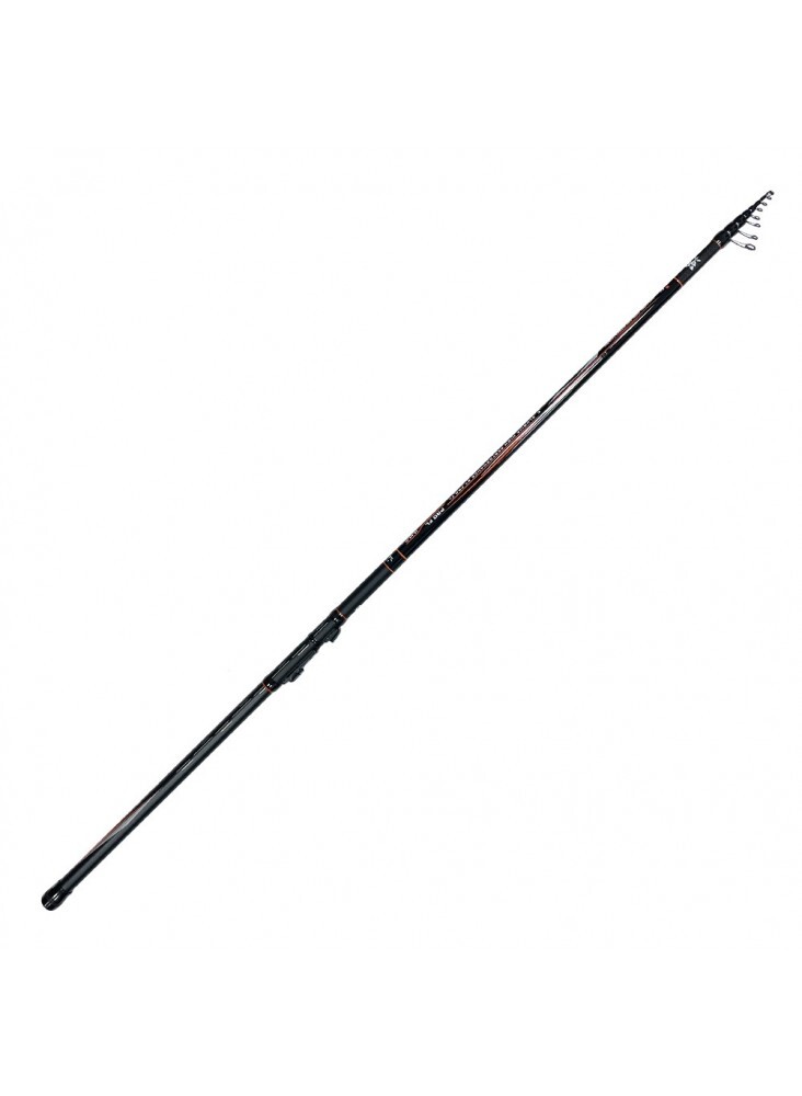 Fishing Telescopic rod Pro FL Champion Allround Tele Match 4.20m 20-80g