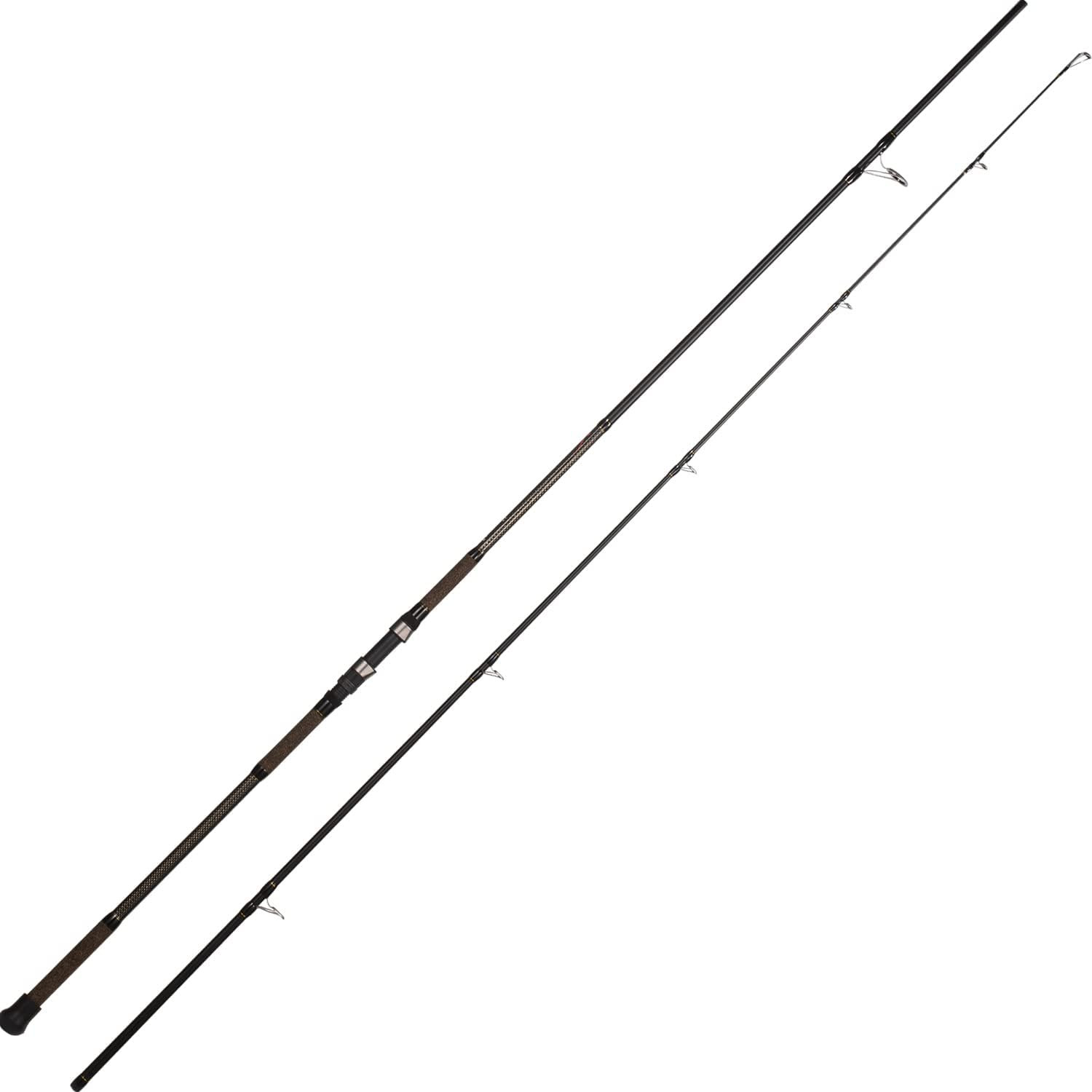 BERRYPRO Surf Rod Pure Carbon Surf Spinning Rod Graphite Surf Fishing Rod (9’/10