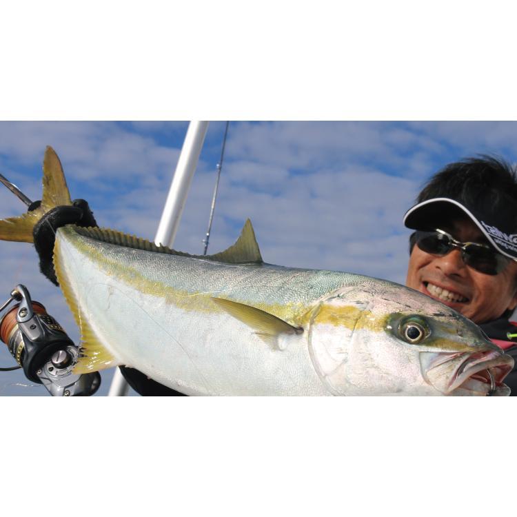 Alpha Tackle CRAZEE JIGGING SHAFT S63MH Spinning Rod