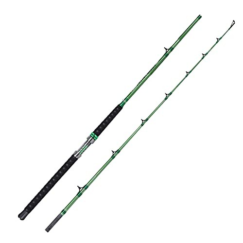 Catfish Fishing Rod 1 Piece/2 Piece Catfishing Fishing Pole Portable Travel