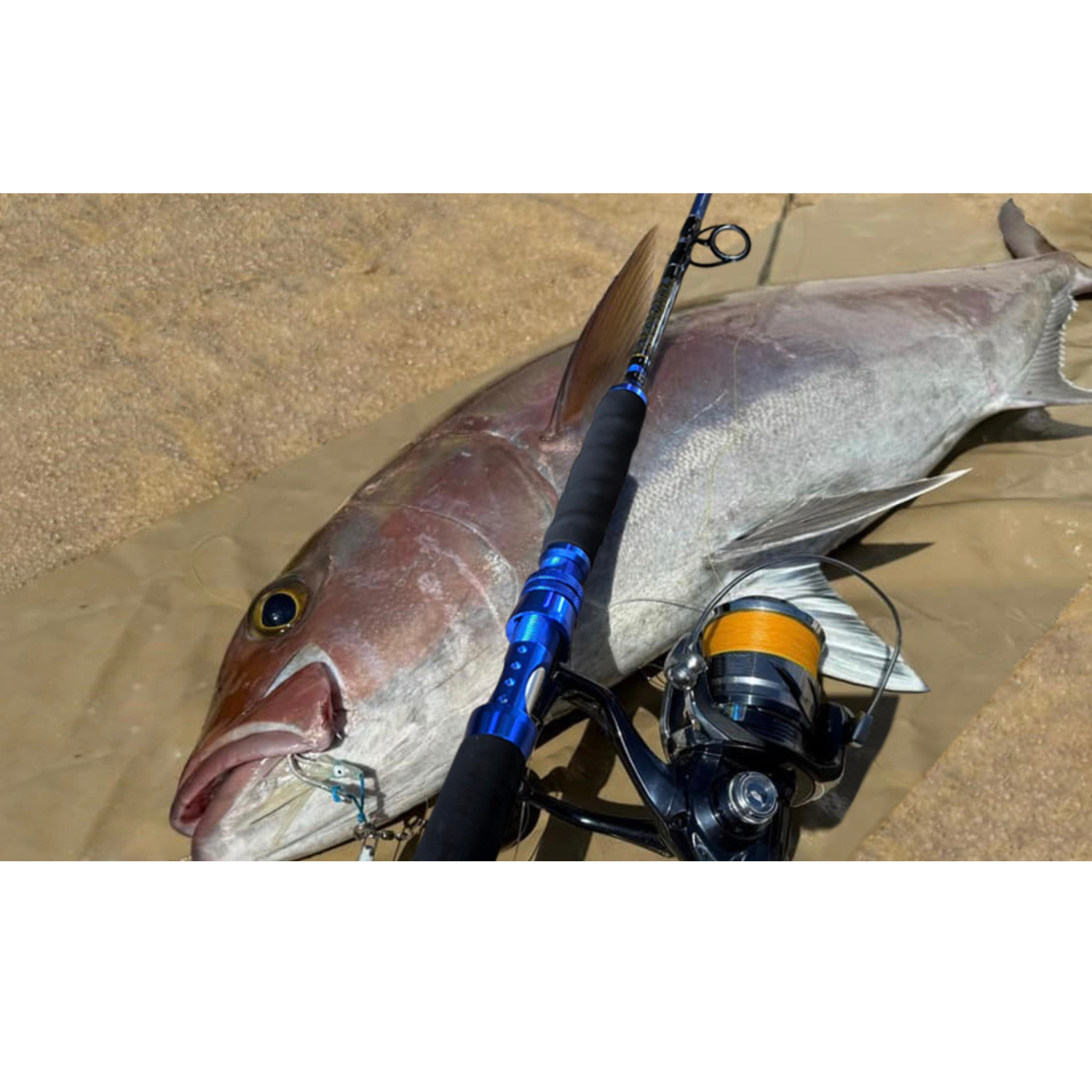 Fiblink 5’6″ Heavy Saltwater Jigging Spinning Rod 80-120lb Offshore Tuna