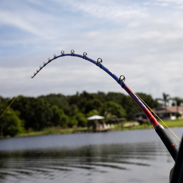 Catch The Fever FishUSA HellCat Revenge Casting Rod
