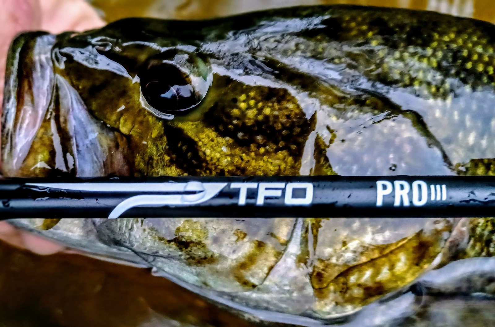 TFO Pro III 9wt 9’0″ Fly Rod | Lifetime Warranty FREE SHIPPING