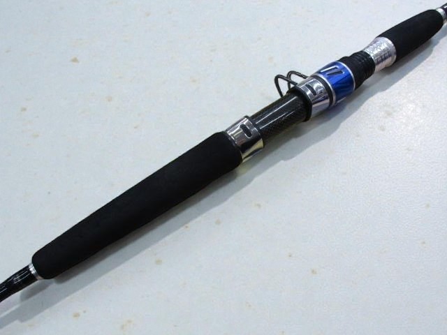 Daiwa Saltiga Coastal SG Yellowtail 60S-F Lure Amberjack Fishing JDM Excellent