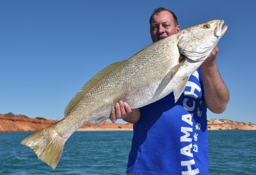 Hamachi Micro jigger Slow Pitch Jig PE0.5 – 1.4 Japanese fishing rod spin 20lb