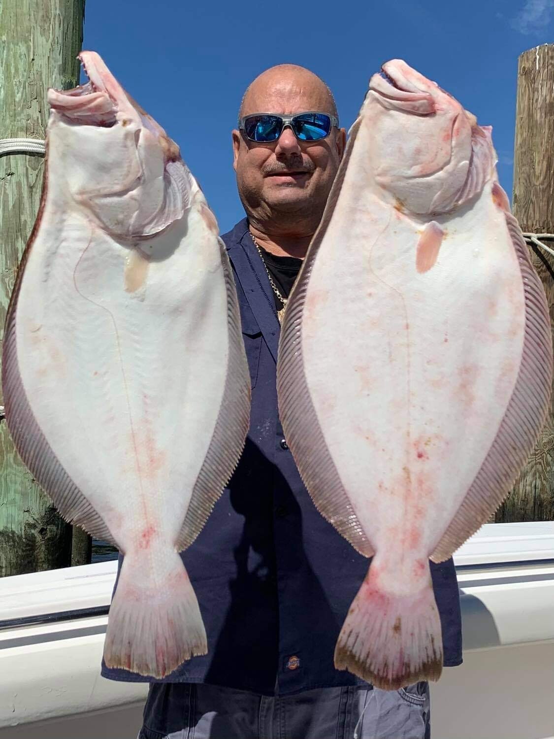 Palmarius P 66-3 200g to 400g ● 7 oz to 12 oz ● EVA ● SiC Torzite ● Acid Wrap