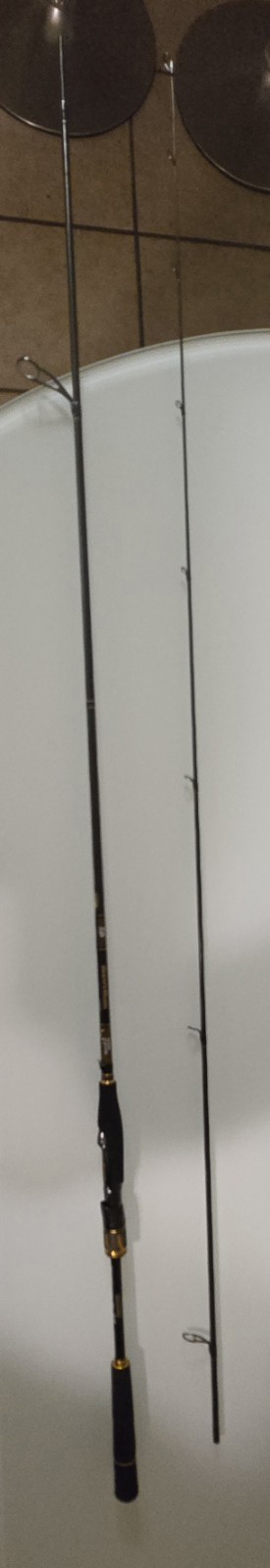 Daiwa Morethan Branzino EX AGS 94LML Fishing Rod Black Gold 30 grams