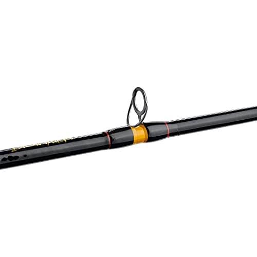 Bigwater Casting Fishing Rod – Fishing Rod for Bigwater