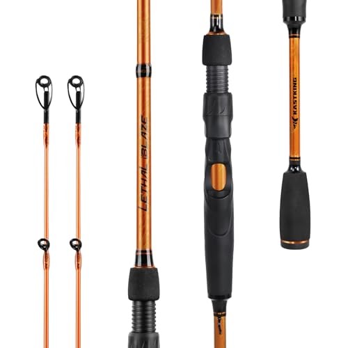 Lethal Blaze Twin-Tip Fishing Rods, IM6 Graphite Blanks Casting & Spinning