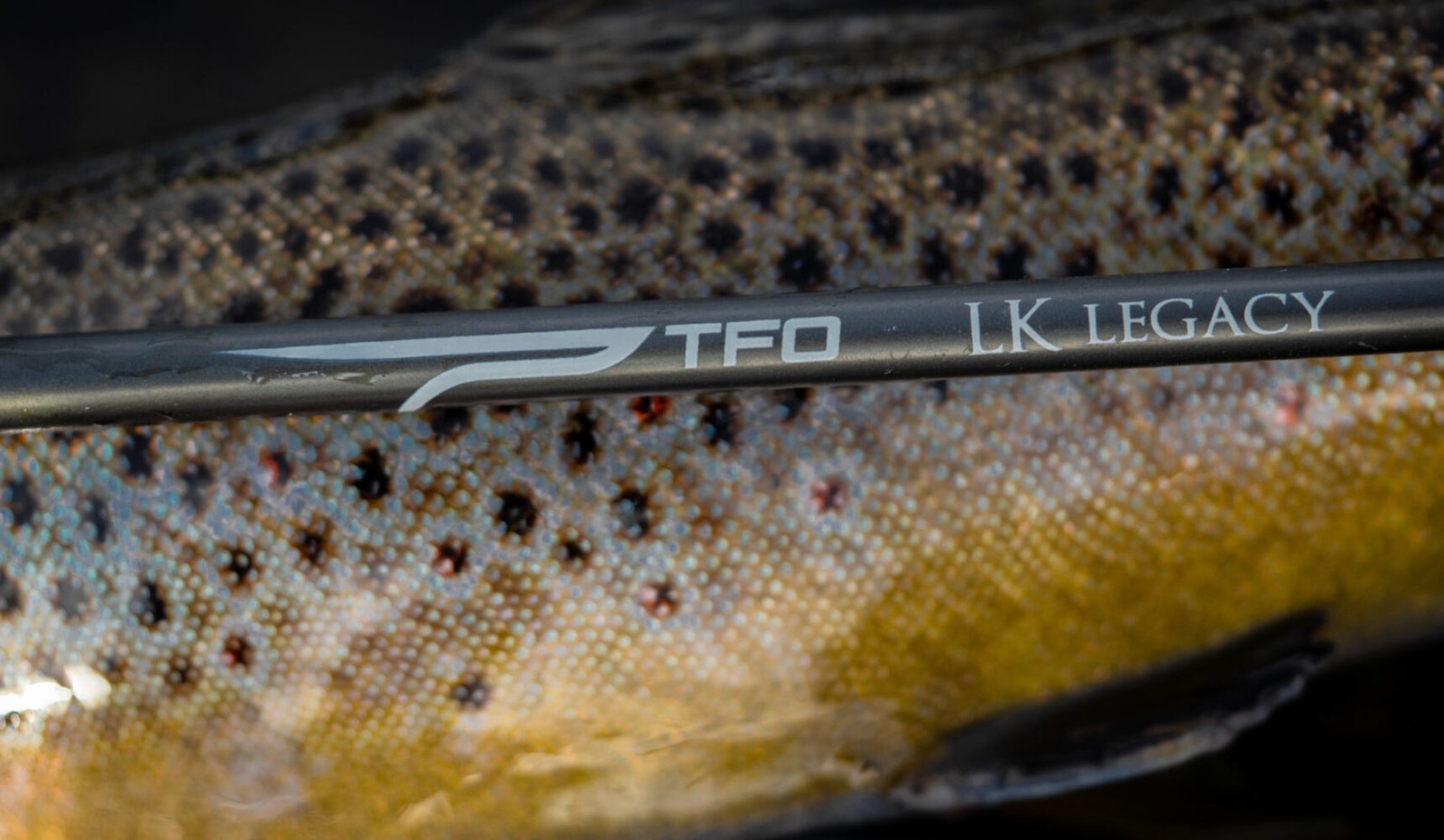 TFO LK Legacy Series Fly Rod+FREE 36 hand selected flies(details in description)