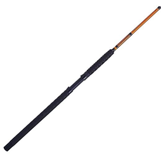 Catfish Special Casting Fishing Rod